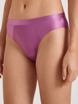 Calida Cate Brief Unterwäsche Damen Mulberry Mauve | 85092-IKZU