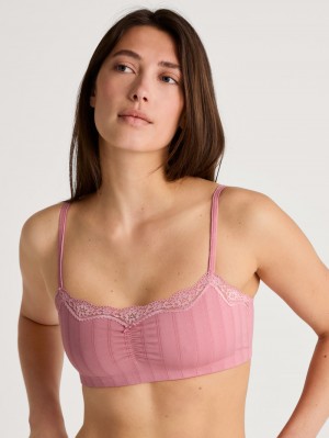 Calida Etude Toujours Bustier Unterwäsche Damen Blumen | 96157-MRSL