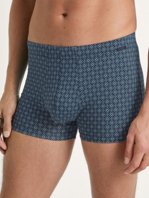 Calida Grafic Cotton Boxer Brief Unterwäsche Herren Dunkel | 41629-SVHR