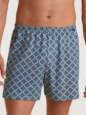 Calida Prints Boxer Shorts Unterwäsche Herren Grau | 23574-LRHI