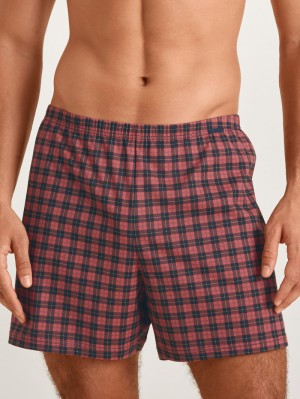 Calida Prints Boxer Shorts Unterwäsche Herren Rot | 15703-NQKI