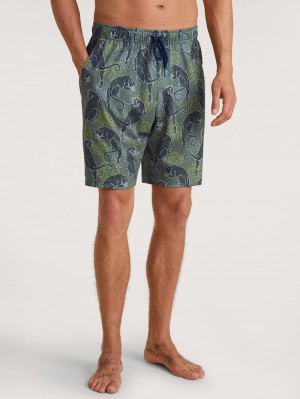 Calida Rmx Sleep Holiday Bermudas Summer Outfits Herren Grün | 87563-UJHB