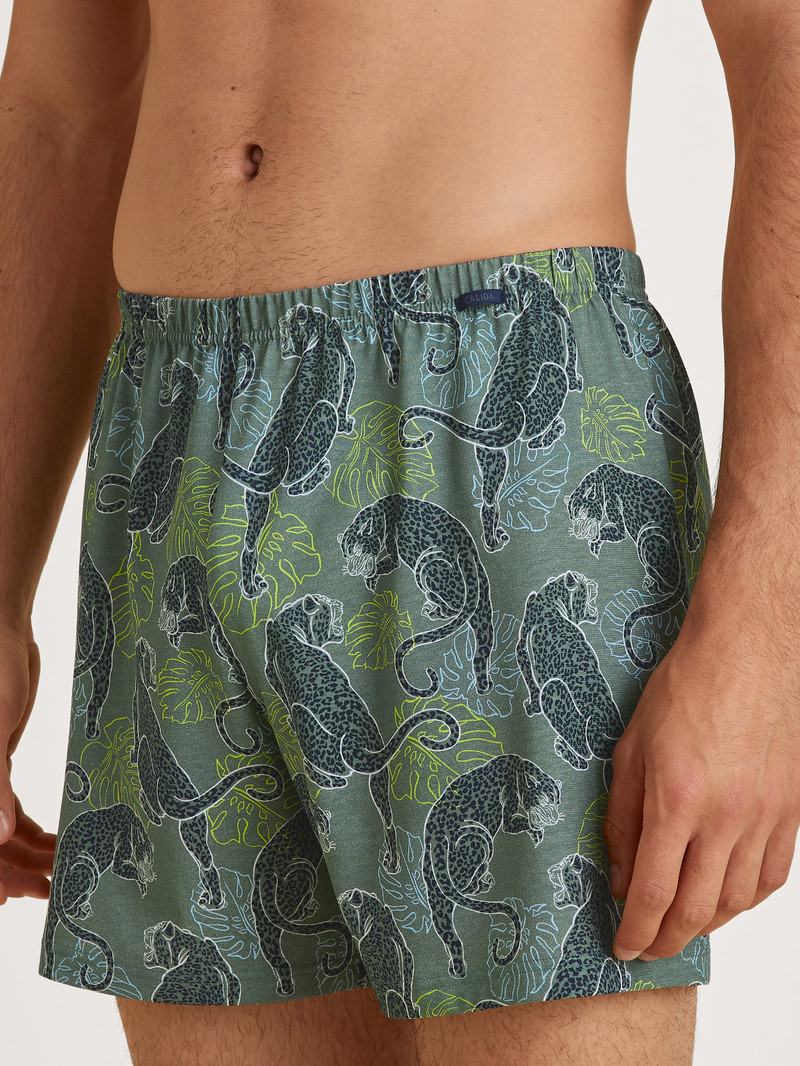 Calida Prints Boxer Shorts Unterwäsche Herren Grün | 53897-RGLJ