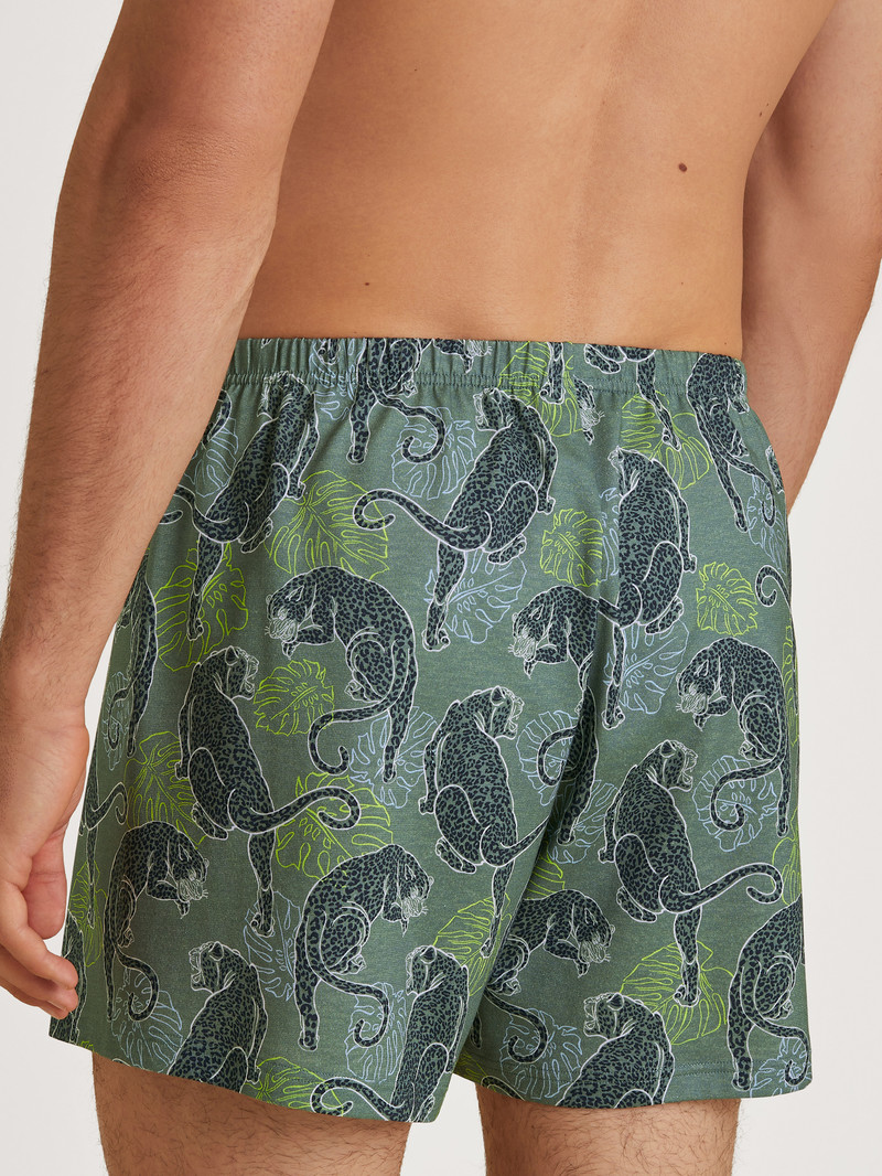 Calida Prints Boxer Shorts Unterwäsche Herren Grün | 53897-RGLJ