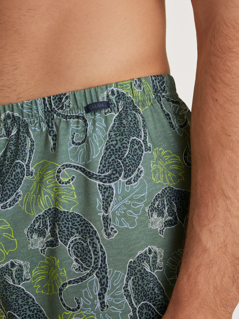 Calida Prints Boxer Shorts Unterwäsche Herren Grün | 53897-RGLJ