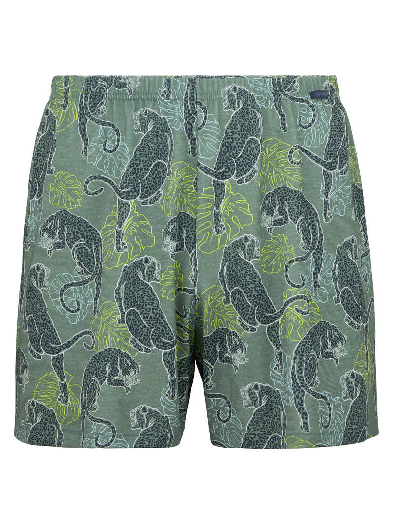 Calida Prints Boxer Shorts Unterwäsche Herren Grün | 53897-RGLJ