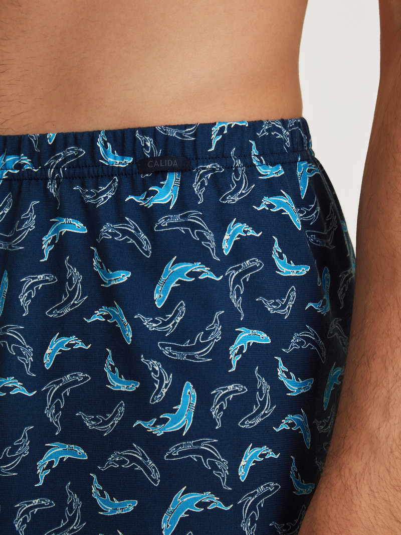 Calida Prints Boxer Shorts Unterwäsche Herren Blau | 90283-PGCU