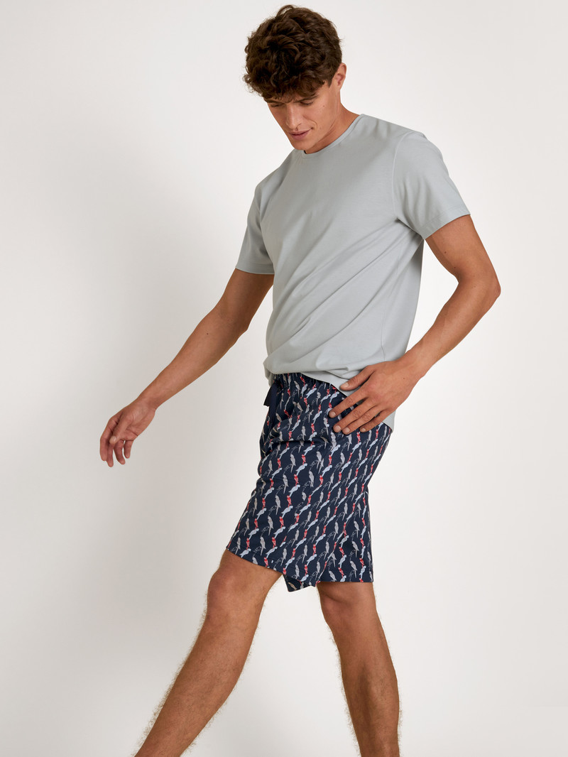 Calida Rmx Sleep Time Off Bermudas Summer Outfits Herren Grau | 58023-SKYB